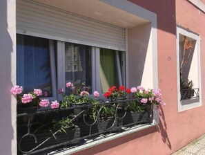 Detalle del exterior