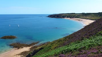 På stranden