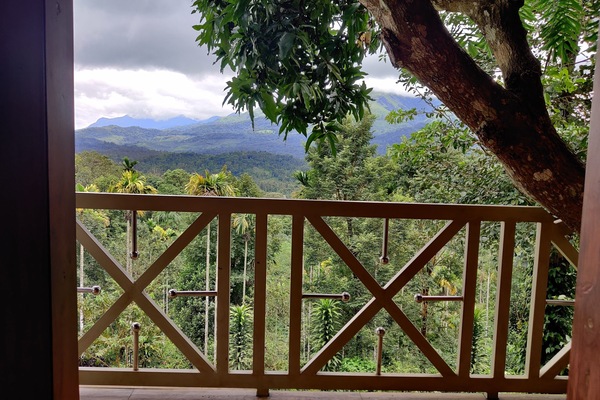 Habitación Deluxe | Balcón