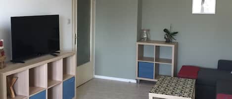 Flat-screen TV