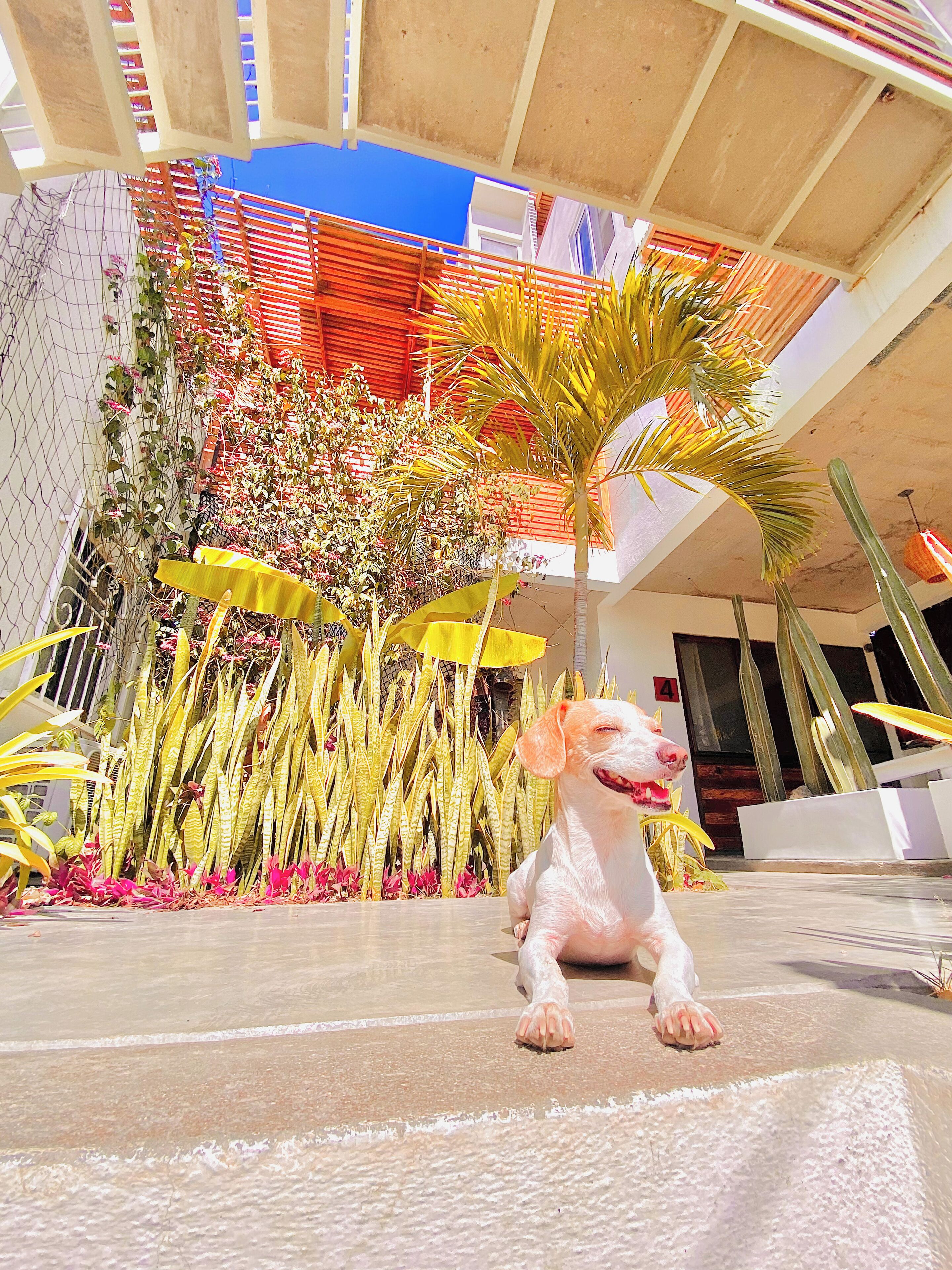 Enceinte de l’hébergement