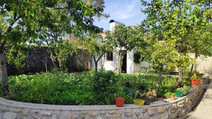 A stone wall with potted plants and a stone pathway.