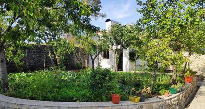 BelaFreita - Magic mountains