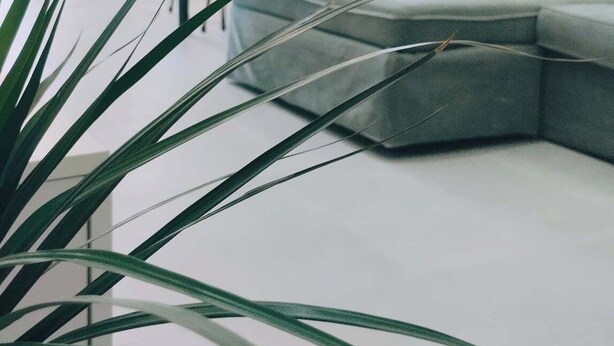 A modern living room with a grey sectional sofa, a dining table with chairs, and a potted plant in the foreground. - Inas Διαμέρισμα 2 υπνοδωματίων (Lefkimmi)