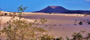 Paisaje desértico con una montaña al fondo.