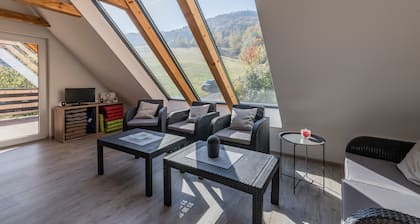 Apartment in a top location with sauna and roof lounge for families and active vacationers
