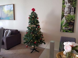 电视、Netflix、DVD 播放器、书