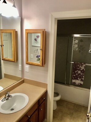 Ensemble douche/baignoire, sĆØche-cheveux, serviettes fournies, savon