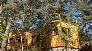 Eine Holzhütte, umgeben von dichtem Wald.