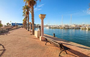 Stroll along the marina's paved walkway, lined with palm trees and a bench for seating, offering a serene waterfront view.