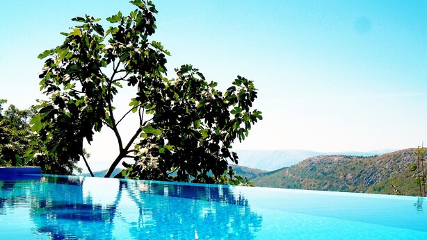 A clear blue infinity pool with a tree in the foreground and a mountainous landscape in the background. - Authentic stone built villetta with a magnificent view (Grižane)