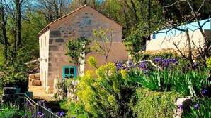 A rustic stone building with a blue door, surrounded by lush greenery and flowering plants. - Authentic stone built villetta with a magnificent view (Grižane)
