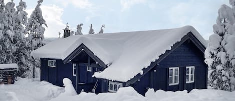 Exteriör