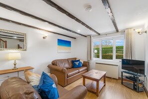 电视、DVD 播放器