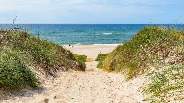 En sandig stig som leder till havet, med gräsklädda sanddyner på vardera sidan.