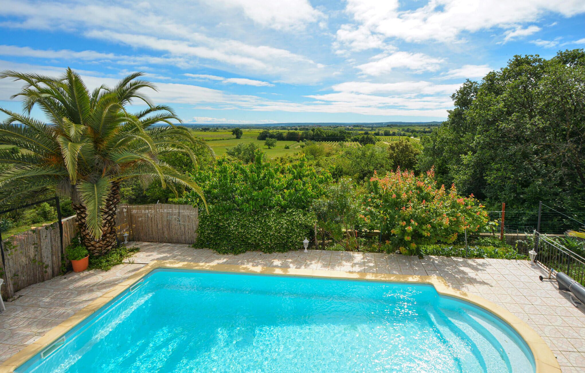 Une piscine avec vue sur un paysage verdoyant et un palmier.