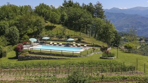 A pool area with lounge chairs and umbrellas, surrounded by lush greenery and mountains in the background. - Beautiful apartment in villa for 6 guests with pool, WIFI, TV and patio (Molazzana)