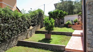 Un jardin résidentiel avec un chemin dallé, un arbre en pot et un mur de pierres.