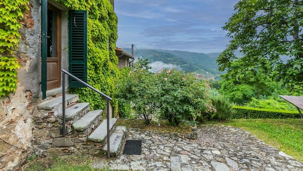 A stone staircase leading to a wooden door with green shutters, surrounded by lush greenery and a stone pathway. - Lovely apartment for 7 guests with pool, WIFI, TV, patio and pets allowed (Pescia)