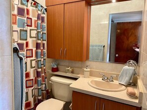 Combined shower/bathtub, hair dryer