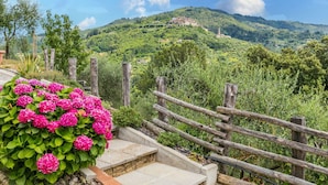 A scenic view of a hillside with a wooden fence and steps leading up to a building.