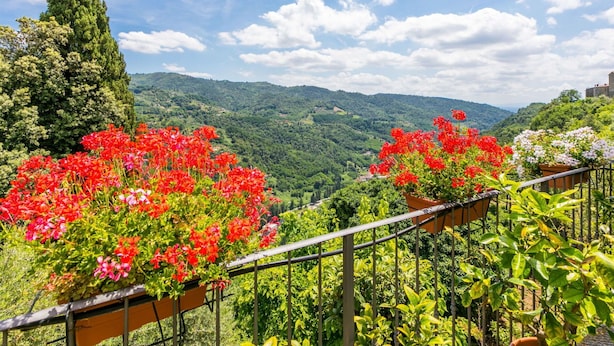 A balcony with a view of a lush valley and distant hills.