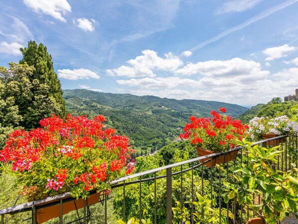 Property grounds - Cosy apartment in villa for 3 guests with WIFI, pool, TV and terrace (Pescia)