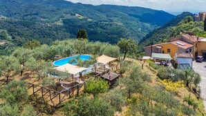 A villa with a swimming pool surrounded by olive trees, set against a backdrop of rolling hills and a clear sky. - Lovely apartment in villa for 3 guests with WIFI, pool, TV and terrace (Pescia)