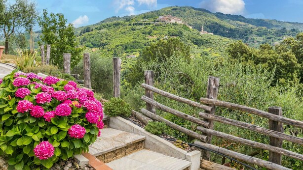 A scenic view of a hillside with a wooden fence and steps leading up to a building. - Lovely apartment in villa for 3 guests with WIFI, pool, TV and terrace (Pescia)