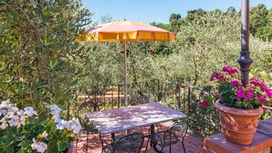 Un patio exterior con una mesa y sillas, rodeado de plantas en macetas y un paraguas grande.