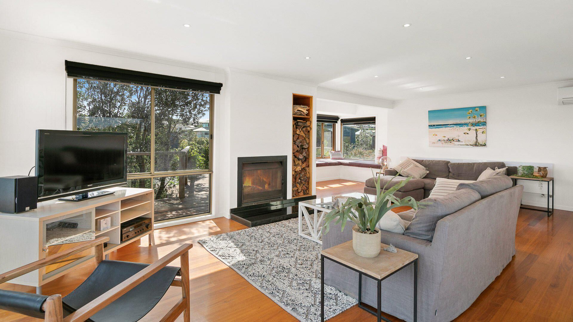 TV, fireplace, books