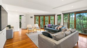 TV, fireplace, books