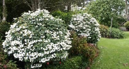 Paheke Boutique Lodge