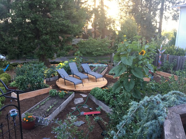 Property grounds - 2024 Olympic Trials - 4 Bdrm, 3 Ba, sleeps 8, Hot Tub, Fire Pit, big yard/garden (Eugene)