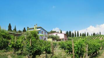 Parco della struttura