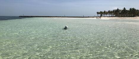 Sun loungers, beach towels