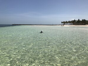 Sun loungers, beach towels