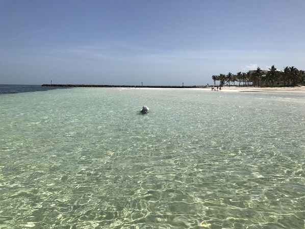 Sun loungers, beach towels
