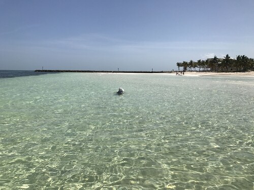 Waterfront beautifully renovated 6 Bedrooms 4 Bath , Gated Private Home