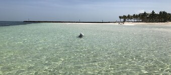 Waterfront beautifully renovated 6 Bedrooms 4 Bath , Gated Private Home