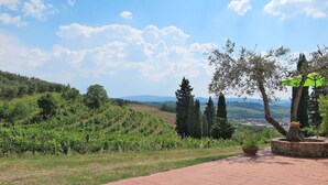 Una terrazza con vista sui vigneti e colline lontane, un muro in pietra e una pianta in vaso.