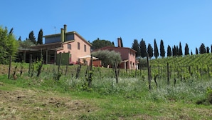 Una casa di campagna con un vigneto in primo piano e alberi alti sullo sfondo.