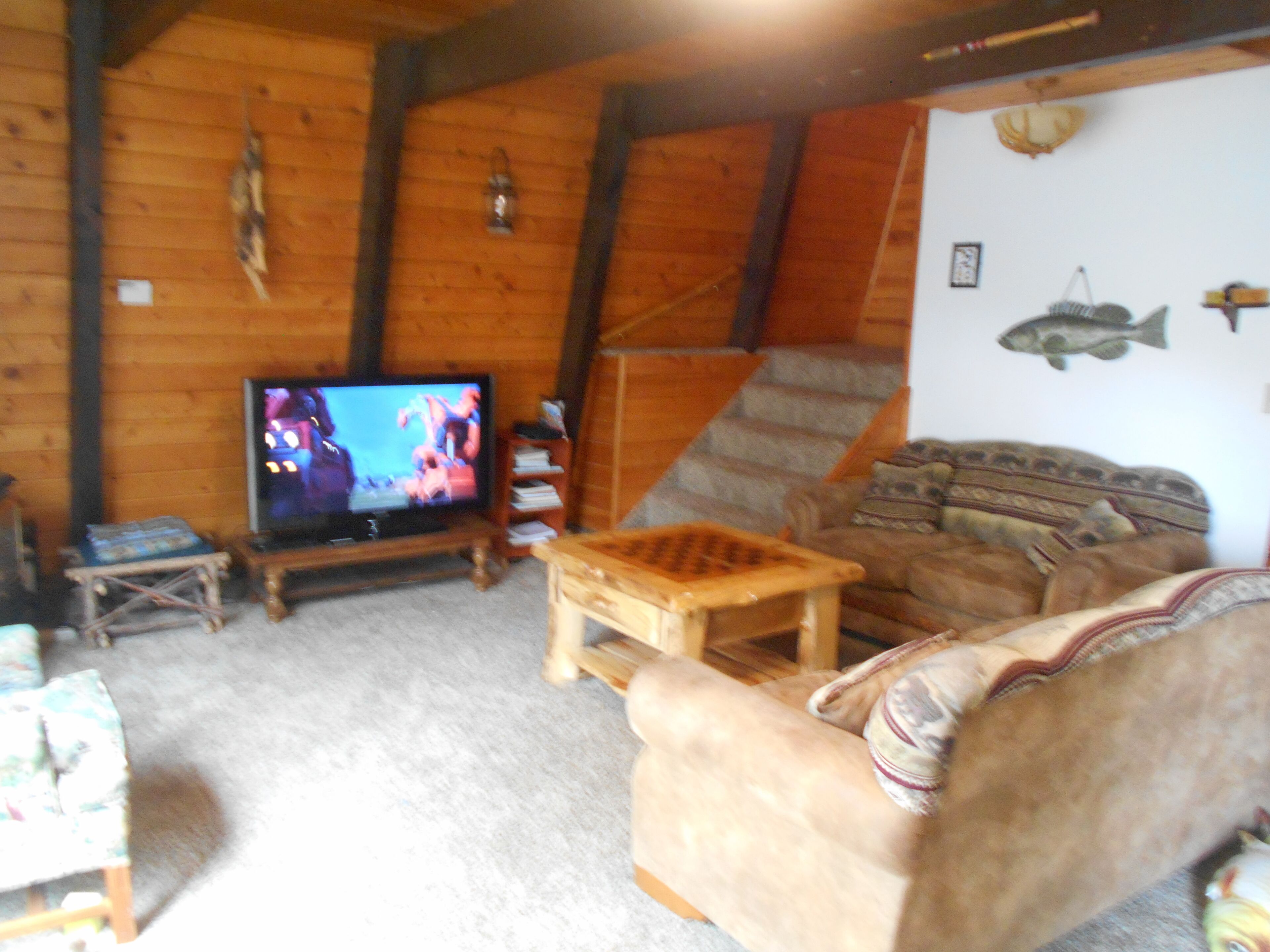 TV, fireplace, DVD player, books