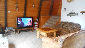 TV, fireplace, DVD player, books