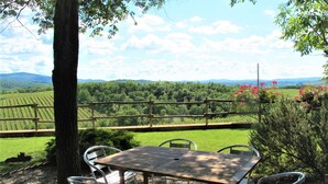 Mesa y sillas dispuestas al aire libre, con vistas a un viñedo y colinas al fondo.