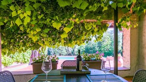 Un patio al aire libre con una mesa lista para dos personas, rodeado de follaje y plantas en macetas.