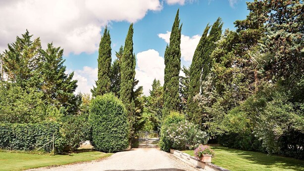 A gravel driveway leading to a gated entrance surrounded by tall, dense trees and well-maintained grass.