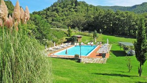 Uma área de piscina com espreguiçadeiras e guarda-sóis, cercada por vegetação exuberante e colinas.