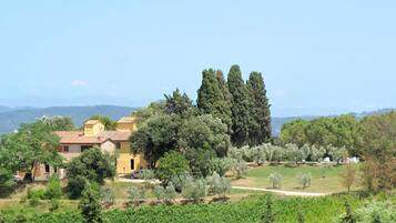 Un paysage rural avec un bâtiment jaune entouré d’arbres et un vignoble.