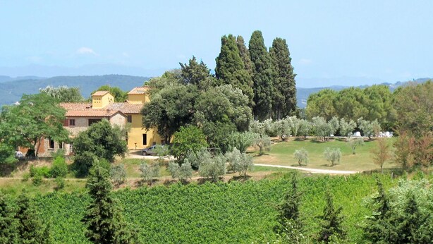Paesaggio rurale con un edificio giallo circondato da alberi e un vigneto.